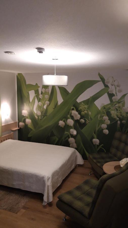Hotel Viesu Nams Zala Sala Litavniki Exteriér fotografie